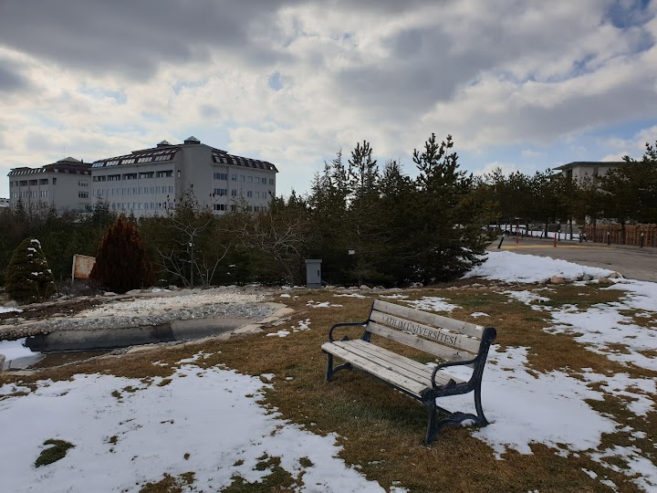 جامعة اتيليم ATILIM